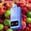 DTL Vape Disposable Vape 20000 Puffs Vapmind Vape Shop
