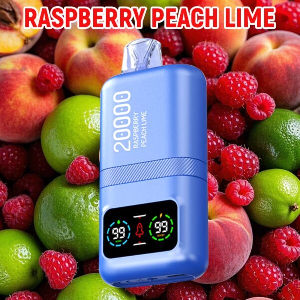 DTL Vape Disposable Vape 20000 Puffs Vapmind Vape Shop