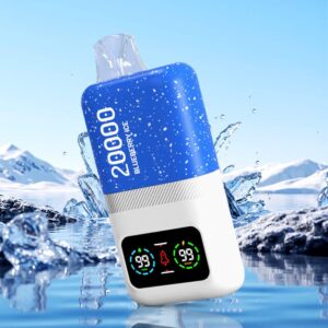 DTL Vape Disposable Vape 20000 Puffs Vapmind Vape Shop