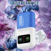 DTL Vape Disposable Vape 20000 Puffs Vapmind Vape Shop