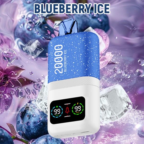 DTL Vape Disposable Vape 20000 Puffs Vapmind Vape Shop