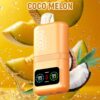 DTL Vape Disposable Vape 20000 Puffs Vapmind Vape Shop