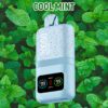 DTL Vape Disposable Vape 20000 Puffs Vapmind Vape Shop