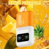 DTL Vape Disposable Vape 20000 Puffs Vapmind Vape Shop