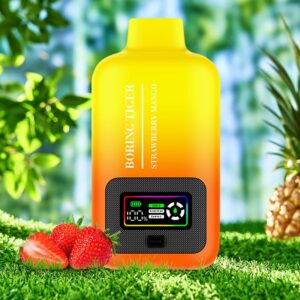 Disposable Electronic Cigarette 25000 Puff Vapmind Vape Shop