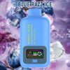 Disposable Electronic Cigarette 25000 Puff Vapmind Vape Shop