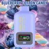 Disposable Electronic Cigarette 25000 Puff Vapmind Vape Shop