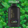Disposable Electronic Cigarette 25000 Puff Vapmind Vape Shop