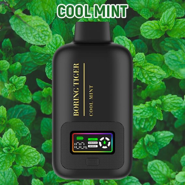 Disposable Electronic Cigarette 25000 Puff Vapmind Vape Shop