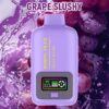 Disposable Electronic Cigarette 25000 Puff Vapmind Vape Shop