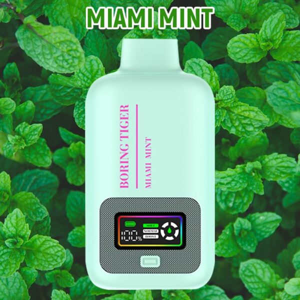 Disposable Electronic Cigarette 25000 Puff Vapmind Vape Shop