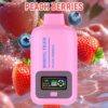 Disposable Electronic Cigarette 25000 Puff Vapmind Vape Shop