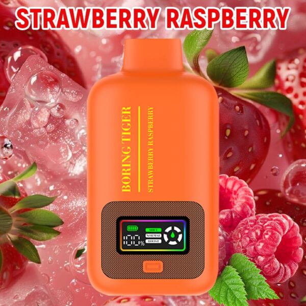 Disposable Electronic Cigarette 25000 Puff Vapmind Vape Shop