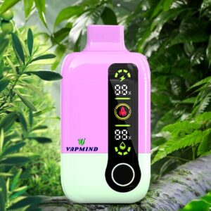 Disposable Vapor Single layer Mesh Vapmind Vape 20000Puffs