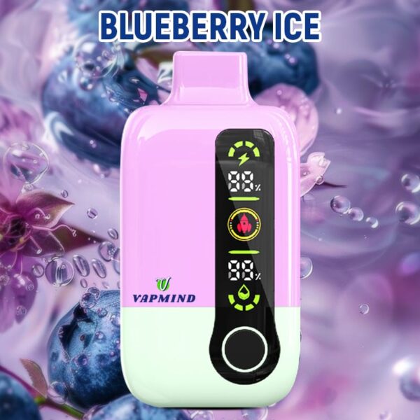 Disposable Vapor Single layer Mesh Vapmind Vape 20000Puffs