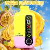 Disposable Vapor Single layer Mesh Vapmind Vape 20000Puffs