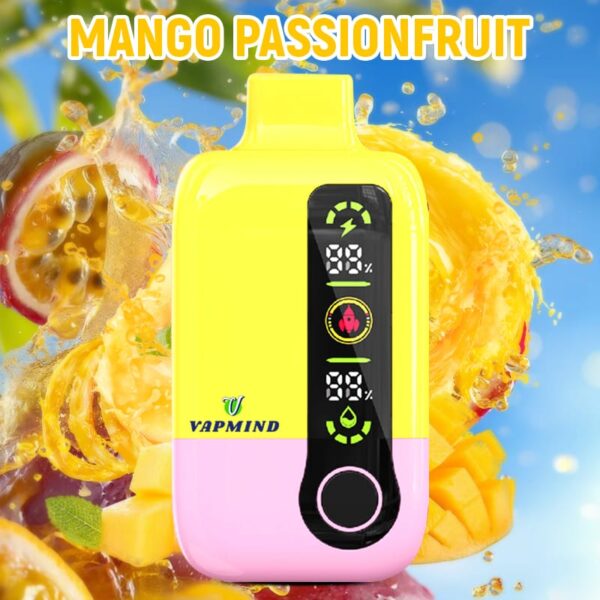 Disposable Vapor Single layer Mesh Vapmind Vape 20000Puffs