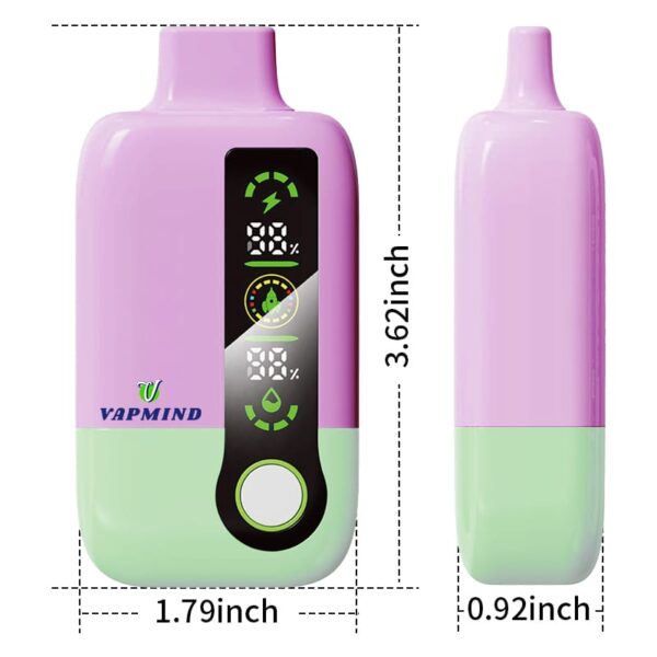 Disposable Vapor Single layer Mesh Vapmind Vape 20000Puffs