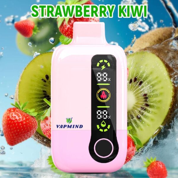 Disposable Vapor Single layer Mesh Vapmind Vape 20000Puffs