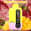 Disposable Vapor Single layer Mesh Vapmind Vape 20000Puffs