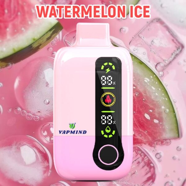 Disposable Vapor Single layer Mesh Vapmind Vape 20000Puffs