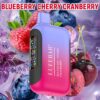 Dual Liquid Disposable Vape 20000 Puffs Vapmind Vape Shop