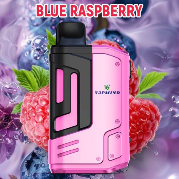E-Cigarette 18000 Puffs Disposable Vape the Vapmind Vape