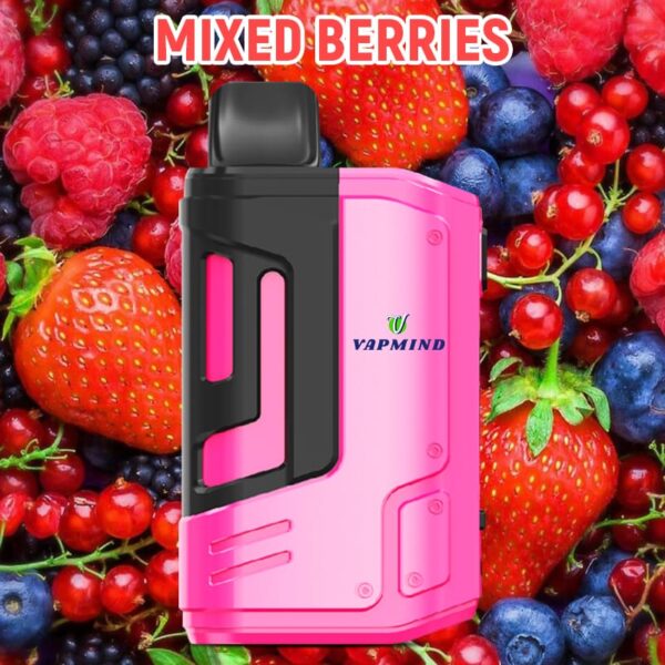 E-Cigarette 18000 Puffs Disposable Vape the Vapmind Vape
