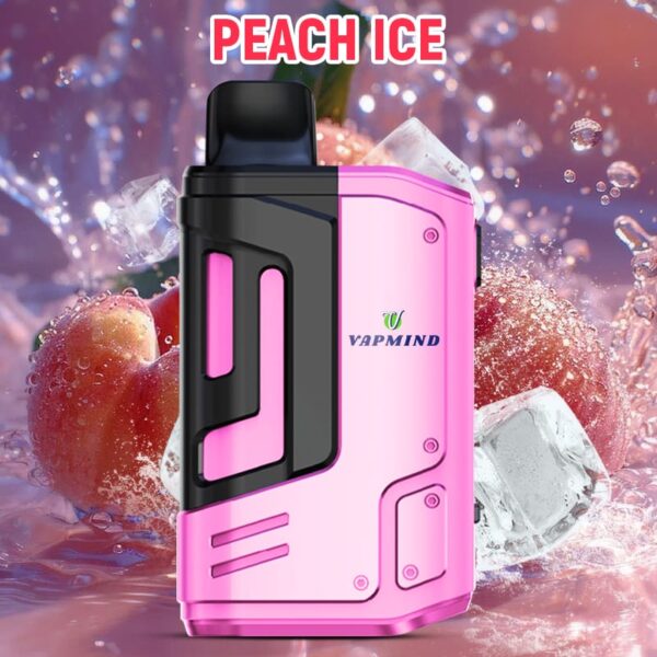 E-Cigarette 18000 Puffs Disposable Vape the Vapmind Vape