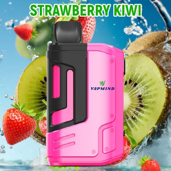 E-Cigarette 18000 Puffs Disposable Vape the Vapmind Vape
