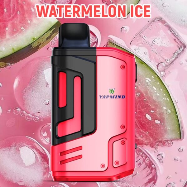 E-Cigarette 18000 Puffs Disposable Vape the Vapmind Vape