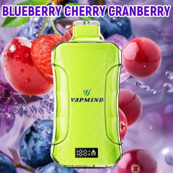 E Cigarette 20000 Puffs Vapmind Vape Best Disposable Vape Shop