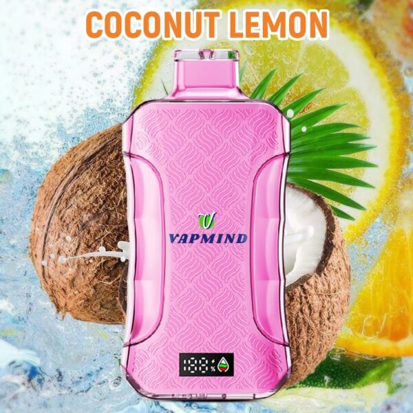 E Cigarette 20000 Puffs Vapmind Vape Best Disposable Vape Shop