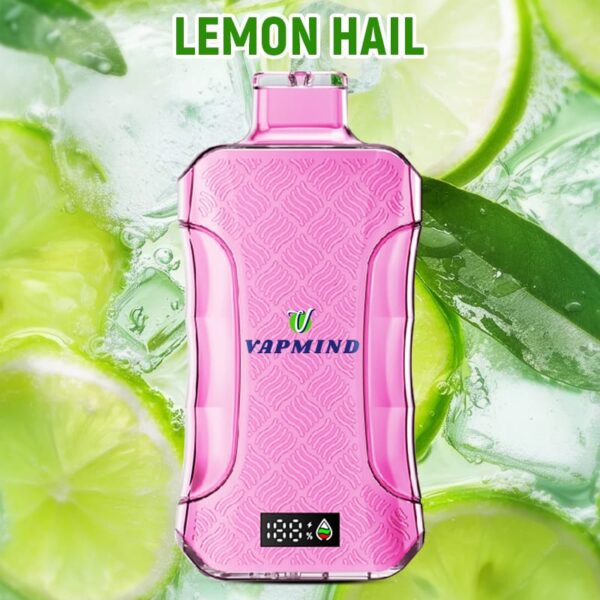 E Cigarette 20000 Puffs Vapmind Vape Best Disposable Vape Shop