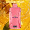 E Cigarette 20000 Puffs Vapmind Vape Best Disposable Vape Shop