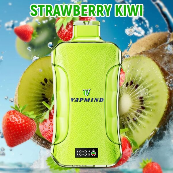 E Cigarette 20000 Puffs Vapmind Vape Best Disposable Vape Shop