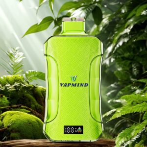 E Cigarette 20000 Puffs Vapmind Vape Best Disposable Vape Shop