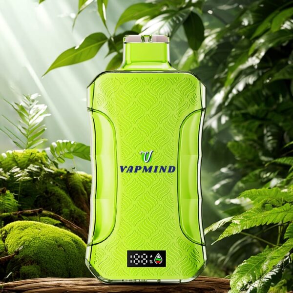 E Cigarette 20000 Puffs Vapmind Vape Best Disposable Vape Shop