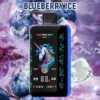 Electronic Cigarette Disposable Vape 30000 Puff Vapmind Vape