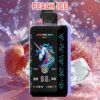 Electronic Cigarette Disposable Vape 30000 Puff Vapmind Vape