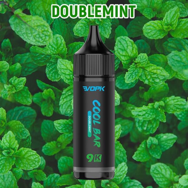 Electronic Cigarettes Shop Disposable 9000 Puffs Vapmind Vape