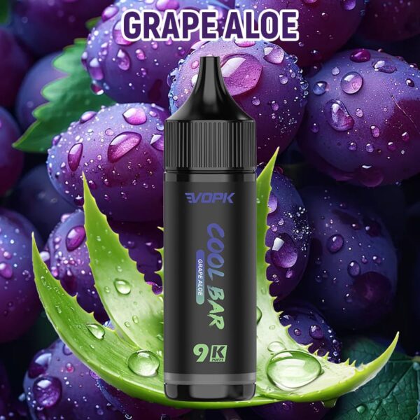 Electronic Cigarettes Shop Disposable 9000 Puffs Vapmind Vape