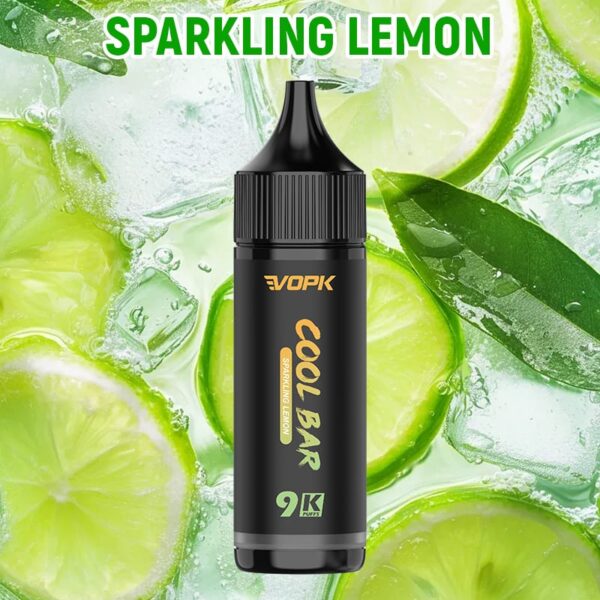 Electronic Cigarettes Shop Disposable 9000 Puffs Vapmind Vape