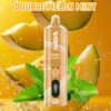 Hookah Vape 15000Puff DTL Vape Disposable Vape Vapmind Vape
