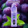 Hookah Vape 15000Puff DTL Vape Disposable Vape Vapmind Vape
