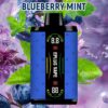 Lung Vape Best Disposable Vape 30000 Puffs Vapmind Vape Shop