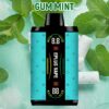 Lung Vape Best Disposable Vape 30000 Puffs Vapmind Vape Shop