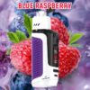 Lung Vapor Vape Big Smoke Single layer Mesh Vapmind Vape