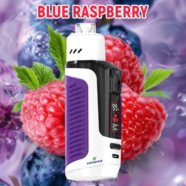 Lung Vapor Vape Big Smoke Single layer Mesh Vapmind Vape