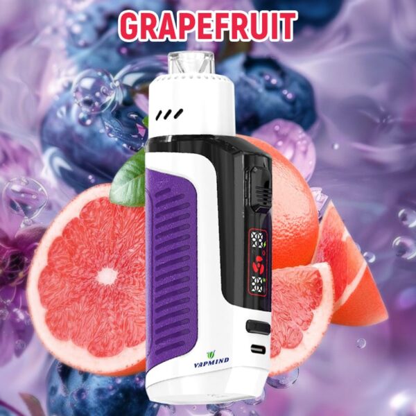 Lung Vapor Vape Big Smoke Single layer Mesh Vapmind Vape